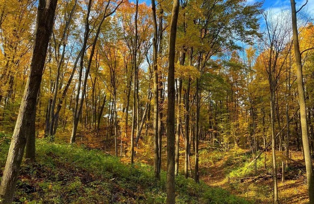 Northern Michigan Retreat