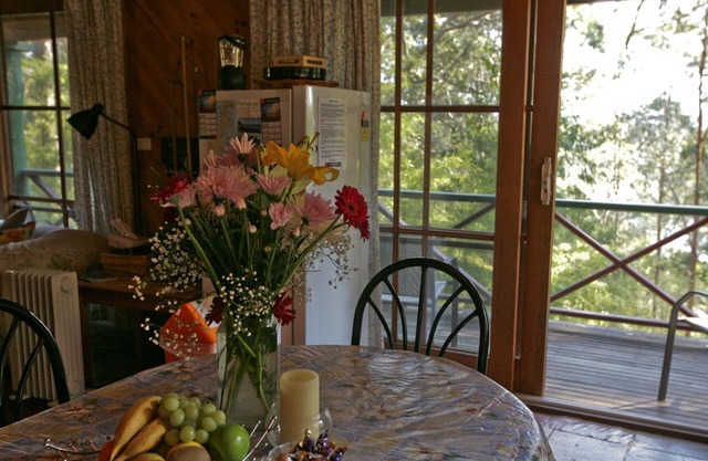 Nutleys Cottage - 74 Nutley's Creek Road- River view