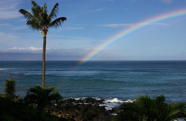 Ocean Front - Kuleana 411