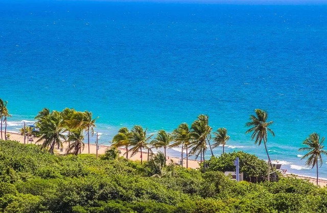 Ocean View Fort Lauderdale Beach Condo, Great central location