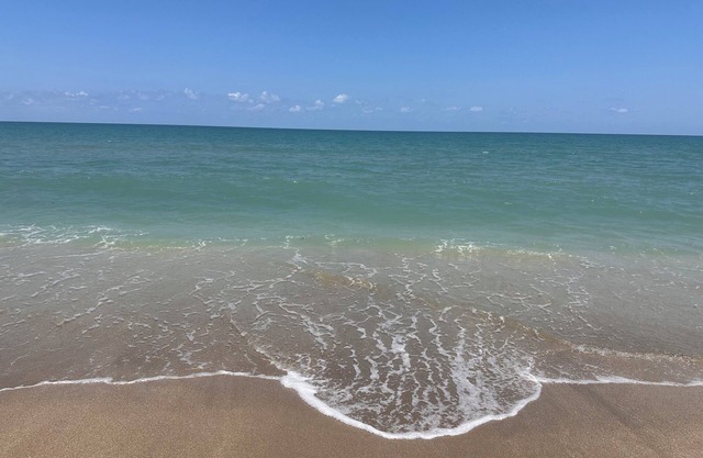 OCEAN VIEWS! OCEAN VIEWS!- BREATHTAKING DIRECT BEACHFRONT CONDO 2/2