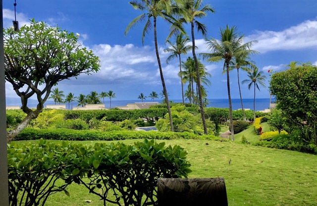 Ocean Views & Privacy! Best Value! Modern Ekolu Remodeled Home