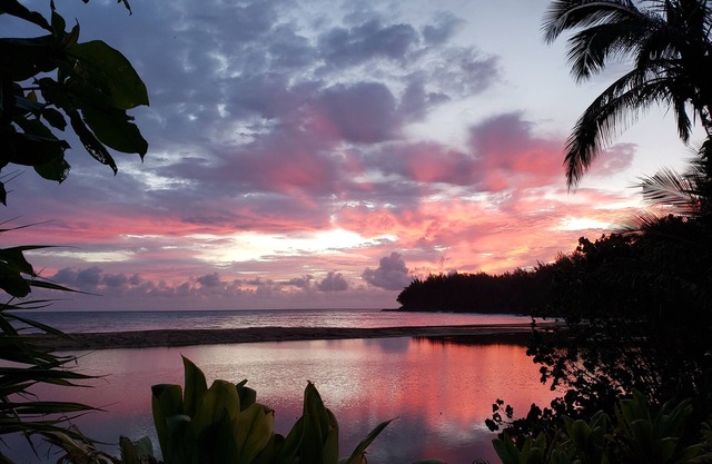 Oceanfront Views * 3 Bedrooms With Baths * All Remodeled * Fabulous Beaches !