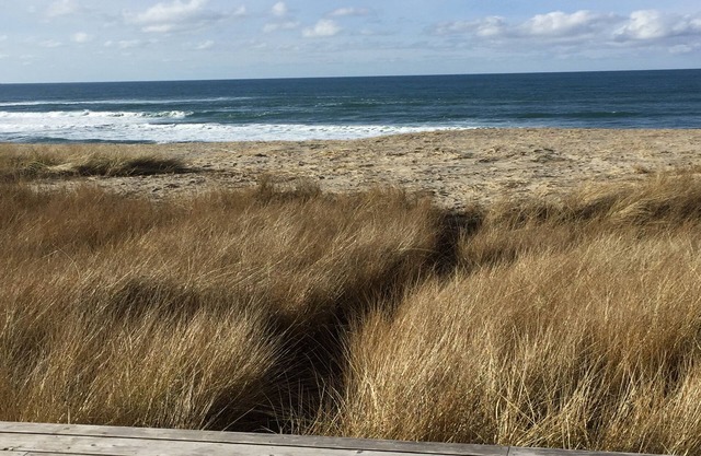 Oceanfront With Memorable Surf And Haystack Rock Views