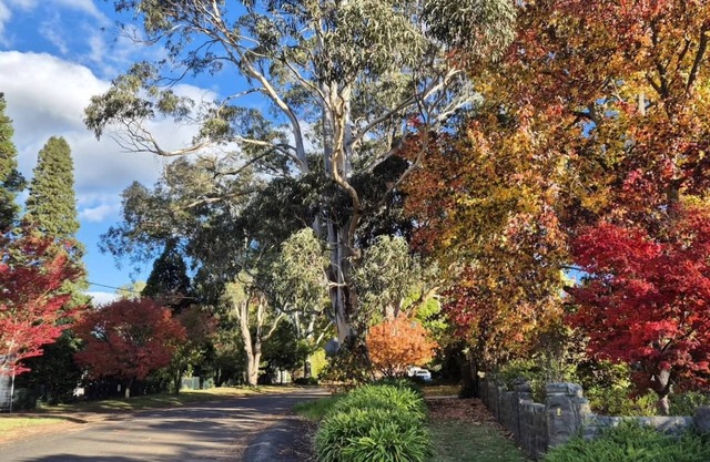 Old Bowral: Quiet, private, 1 bedroom cottage, undercover parking, walk to town.