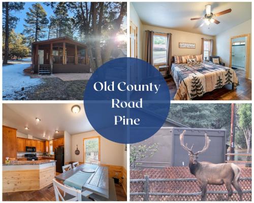 Old County Pine