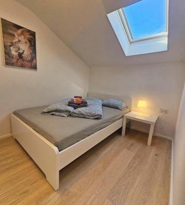 Old Town Modern Charm Apartment