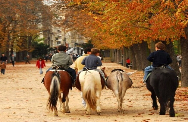 OLD WORLD 14TH CENTURY CHARM-THE PERFECT ST GERMAIN GETAWAY