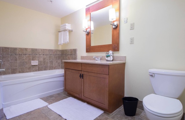 One bedroom Condo Suite at the Appalachian Resort