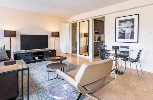 One Bedroom in Luxury Boston Apartment Building