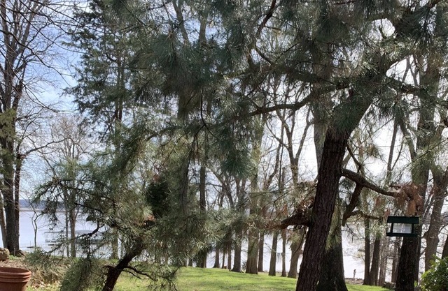 One of The Best Waterfront Locations on The Lake! Stunning Views and Sunsets!