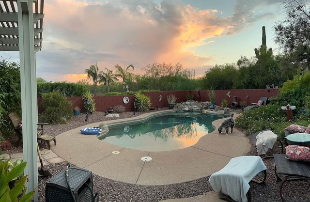 Oro Valley Gem! 4 bedroom-3 plus office/gym, 2 bath, Pool and Mountain View