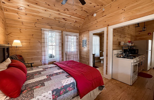 Osgood Cabin with Lake View