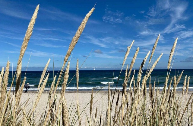 Ostseehaus am Naturstrand - Baltic Sea view - Ostseehaus am Naturstrand