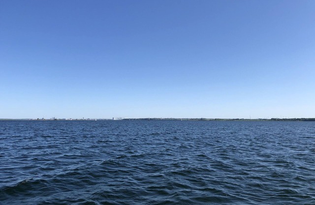 Ostseekrabbe