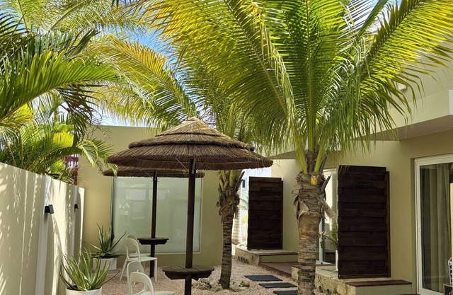Palapa Suite # 8, walk to Eagle Beach