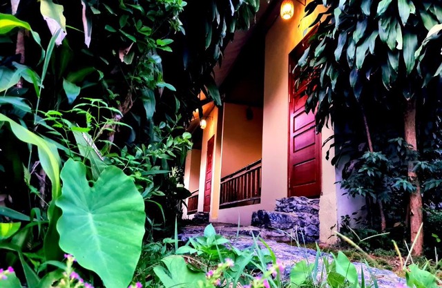 Palm Hill Chalet