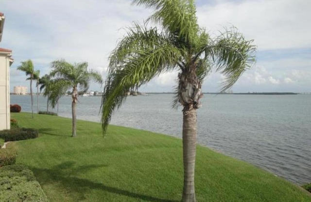 Palma Perfect Florida Getaway