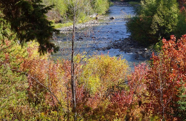 Panabode Log Cabin On The Banks Of The Scenic Chiwawa River