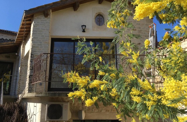 Panoramic cottage 'Oléron'