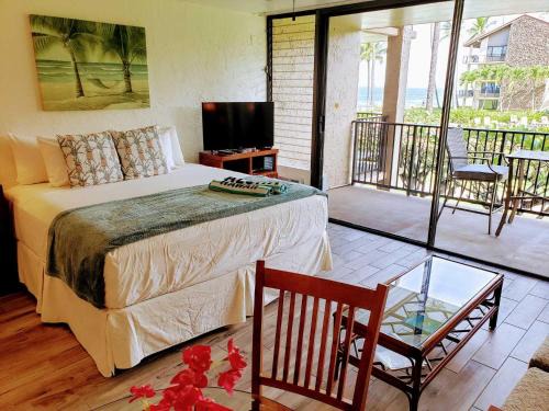 Papakea Resort E204
