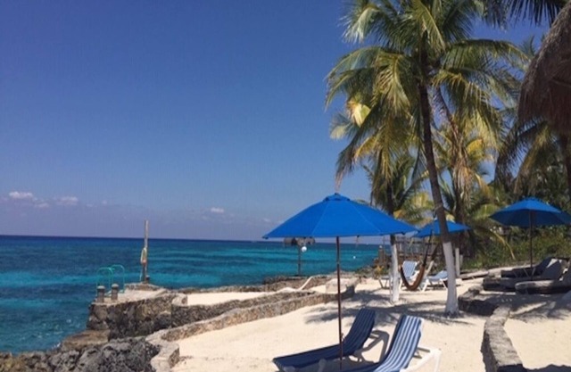 Paradise Regained Seaside Condo and Snorkelers' Dream