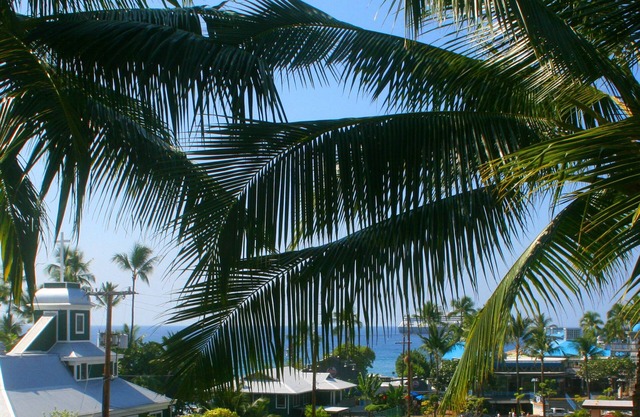 Partial Ocean View Condo in Center of Kailua Kona