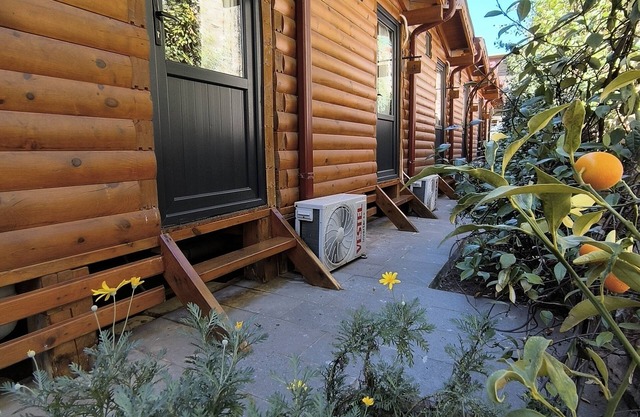 Pasha Bungalovs