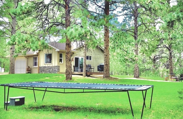 Peaceful Forest feel 5ac, Comfy 3bd Monument hidden but close, Deer, USAFA 10mi