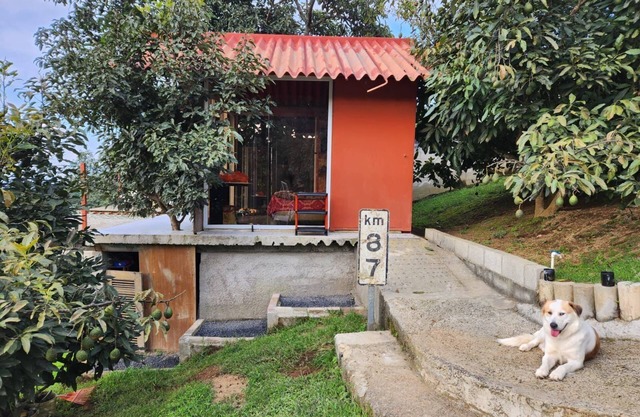 Peaceful Cabin Near Antigua Guatemala with Farm Animals to connect with nature