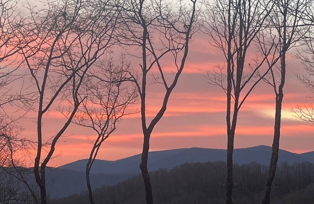 Peaceful Mountain Retreat- Sunrise Views, Pet-Friendly, Serene Escape-Private