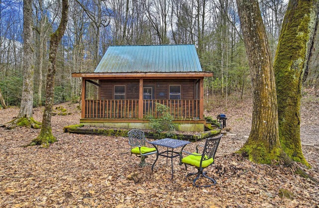Peaceful Mountain City Cabin w/Porch & Fire Pit