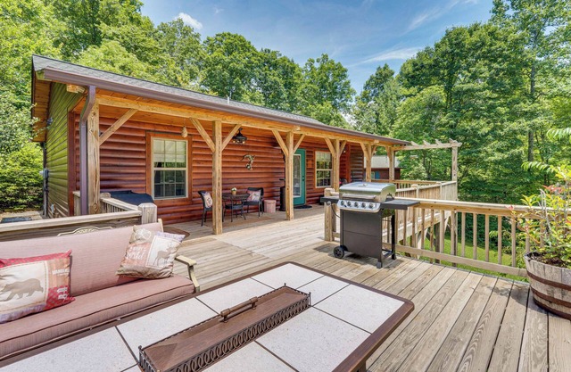 Peaceful Murphy Cabin w/Fire Pits & Forest Views!