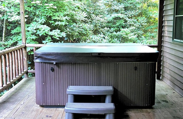 PEACEFUL SECLUDED CABIN IN THE "MOUNTAINS" OF DOE VALLEY!
