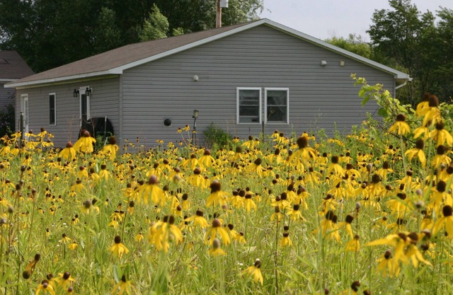 Peaceful studio retreat surrounded by prairie, wildlife, and open skies.