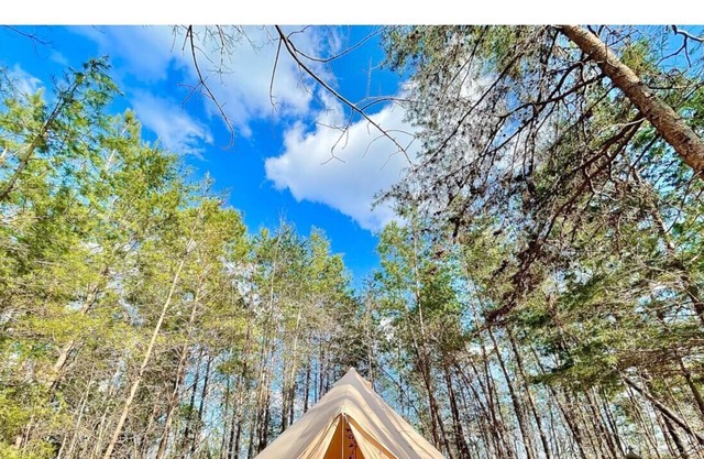 Peaceful Valley Rustic Yurt