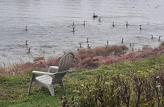 PEI Waterside Apt. #3, quiet waterfront Apt., beach, scenic view, great sunsets