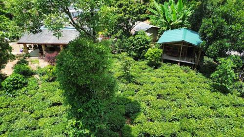 Pekoe Path Lodge