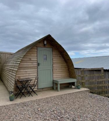 Penny gown farm pod