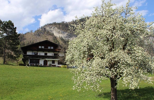 Pension Christoph - Apartment Christoph