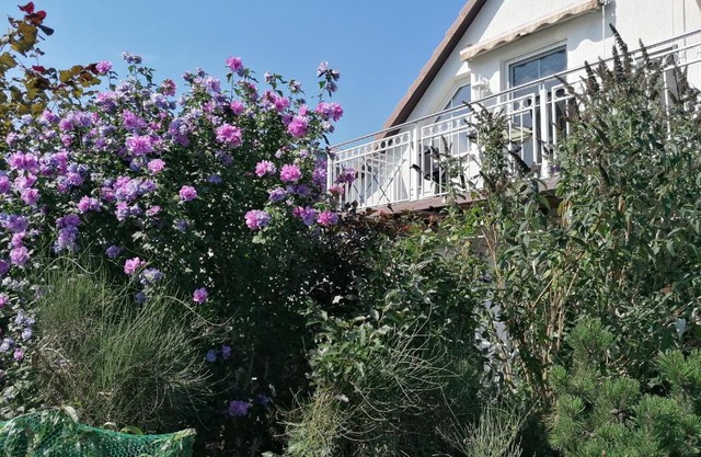 Pension Haus Anneliese