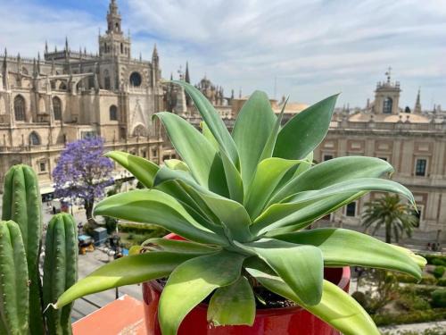 Penthouse in front Giralda