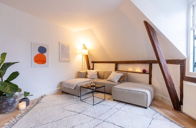 Penthouse in the heart of Copenhagen