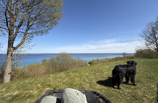 People Welcome, Dogs and Cats Preferred