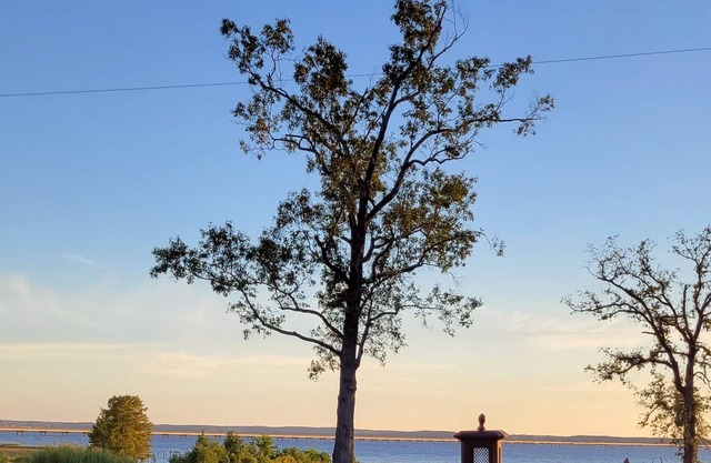 Perfect Location - Toledo Town - Mid Lake @ Pendleton Bridge on Louisiana side