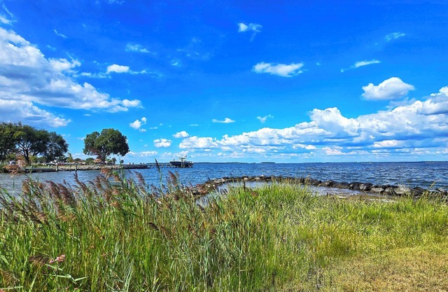 Perfect Retreat|Kent Narrows 2 Acre Waterfront Escape Unbeatable Location!