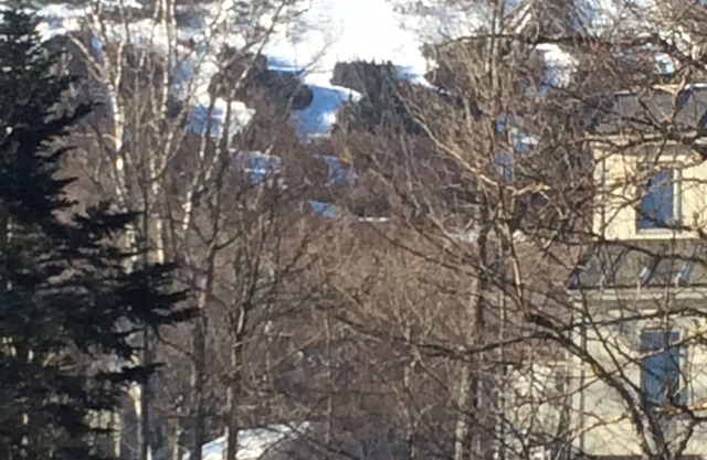 Perfect Ski in Location - 3 Bd, 2 Bath Cozy Condo, Close To Lifts and Village