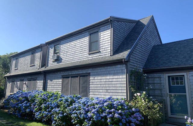 Perfect summer family home