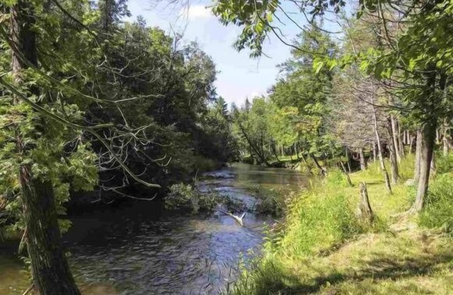 Pet-Friendly, Betsie River Retreat - Sleeps 10 - Ski, Fish, and More!