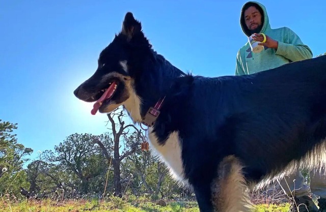 Pet-friendly camping in the mountainsnn